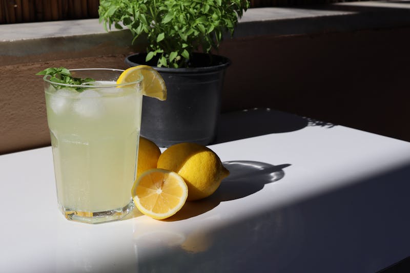 house made lemonade with fresh mint